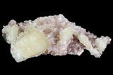 Stilbite and Apophyllite Crystal Cluster - India #97836-1